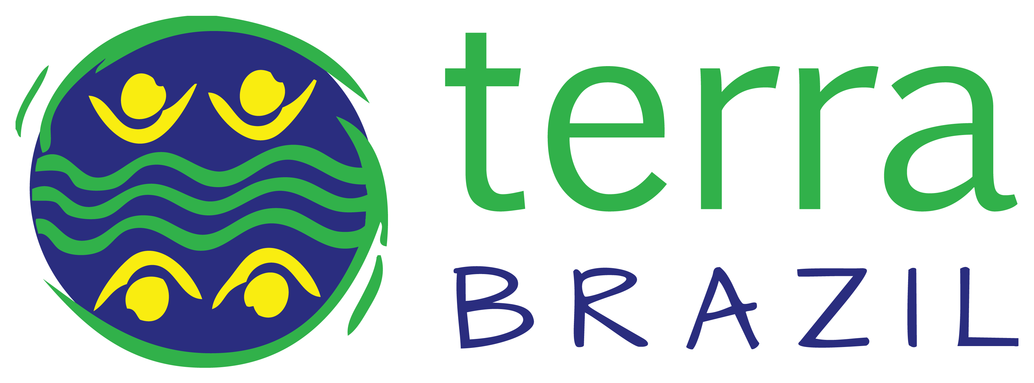 2.1.4 terra brazil logo web