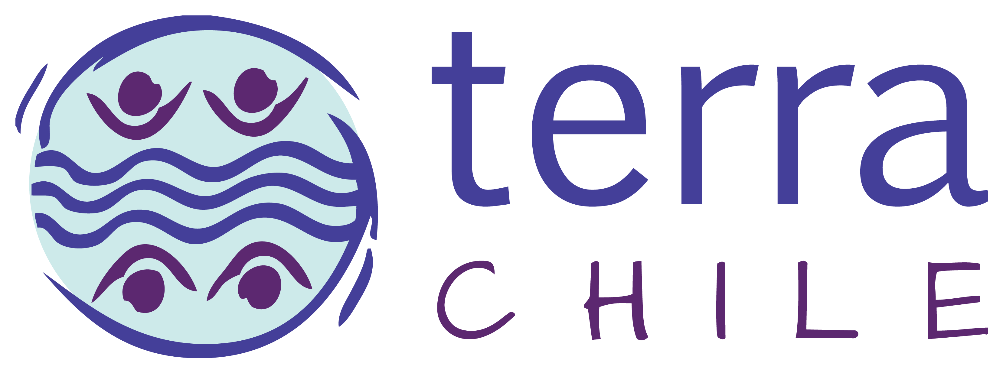 2.1.4 terra chile logo web