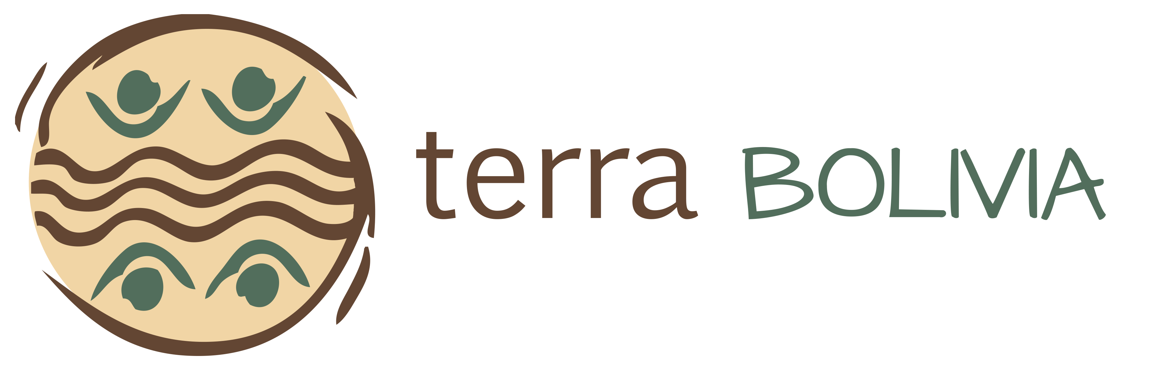 2.2 terra bilivia logo